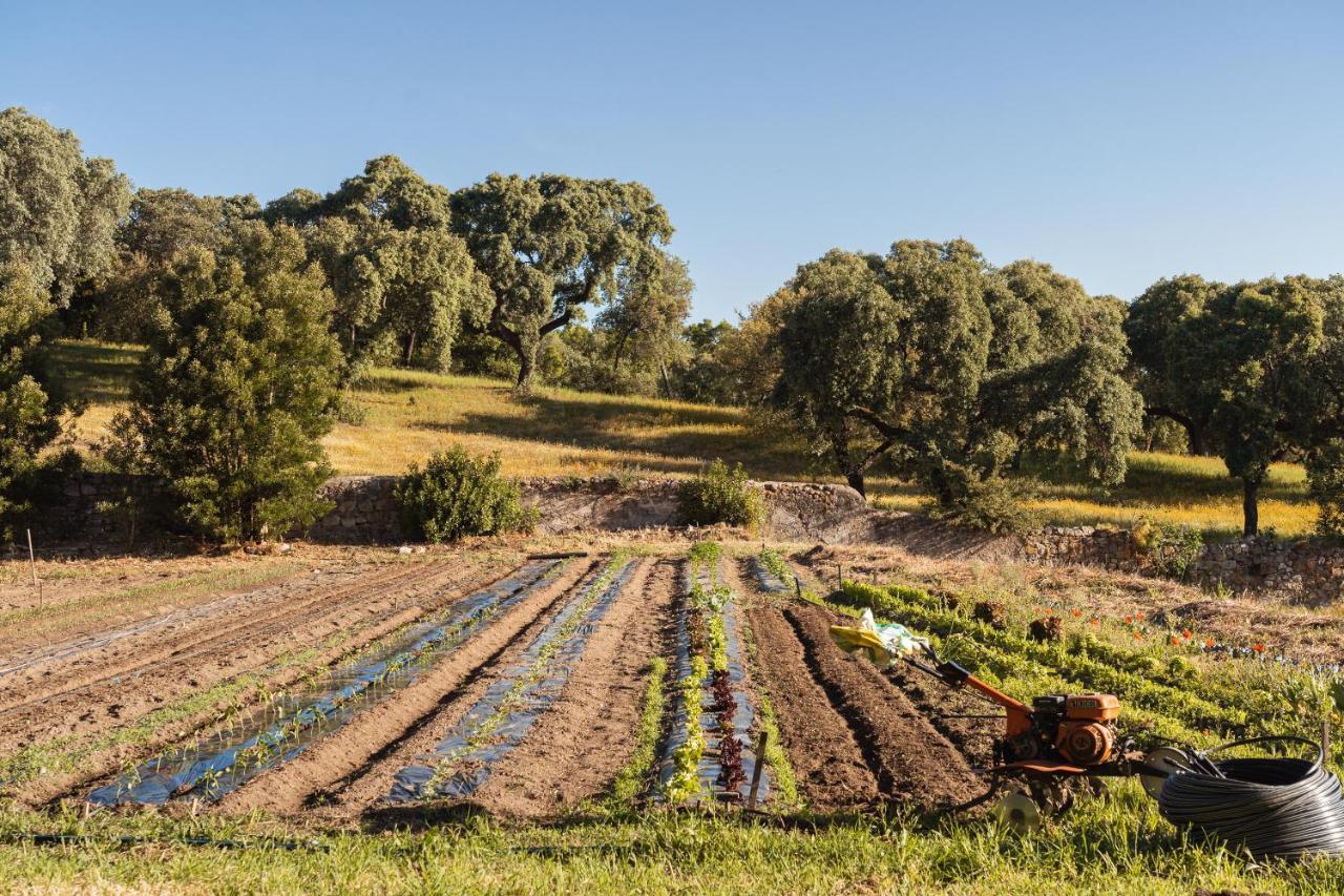 אבורה Imani Country House מראה חיצוני תמונה